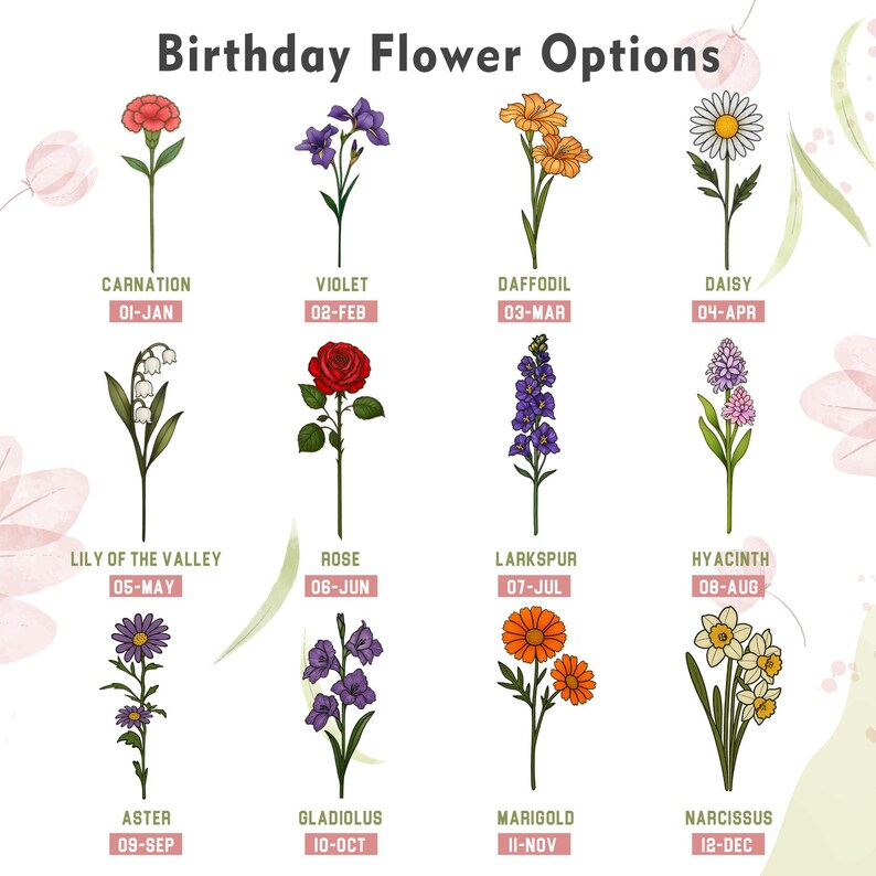 May include: An illustrated guide titled "Birthday Flower Options" featuring twelve different flowers. Each flower is labeled with its common name and the month it represents, including Carnation, Violet, Daffodil, Daisy, Lily of the Valley, Rose, Larkspur, Hyacinth, Aster, Gladiolus, Marigold, and Narcissus.
