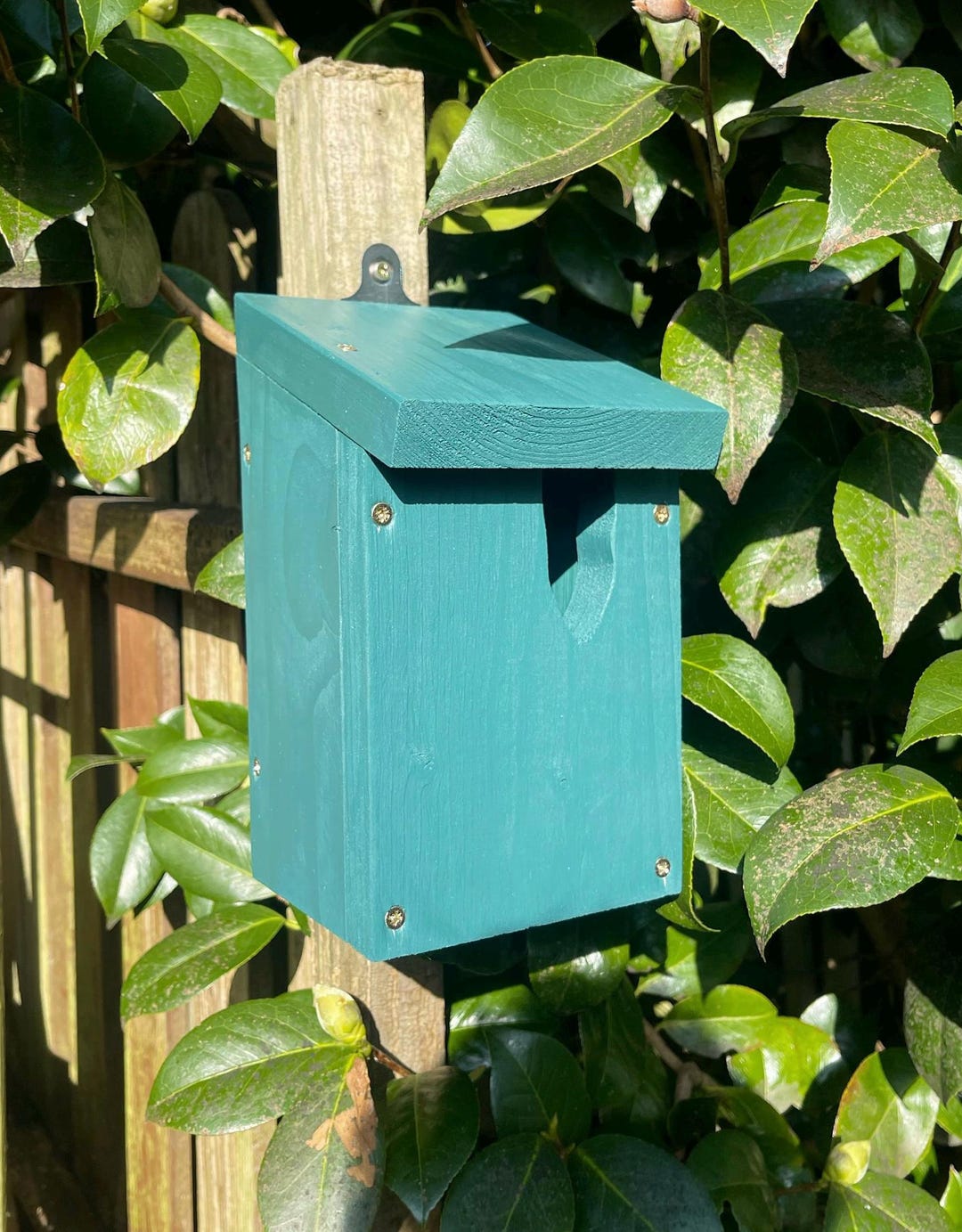 Handmade Green Bird Box – Weatherproof Nesting Box, Wildlife Gift - Etsy UK