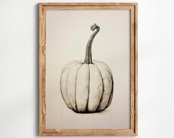 May include: A framed black and white drawing of a white pumpkin with a long stem.