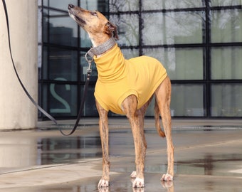 Sweater with rib cuffing for greyhound, whippet, galgo, saluki, lurcher, italian greyhound, dog (soft fleece jumper clothes t-shirt pajamas)