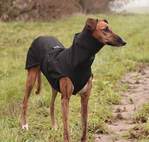 Abrigo softshell de cuello largo para galgo whippet galgo saluki lurcher perro Etsy Espana