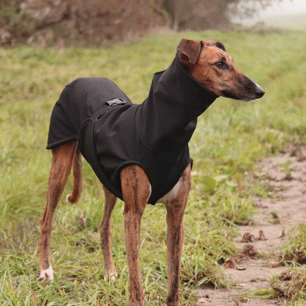 Long collar softshell coat for greyhound, whippet, galgo, saluki, lurcher, italian greyhound