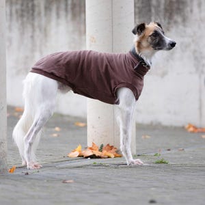 May include: A slender dog with a white coat and tan markings on its head wearing a solid brown sleeveless sweater with a high neck collar. The dog stands in profile, showcasing the fitted brown garment that covers its torso and neck area.