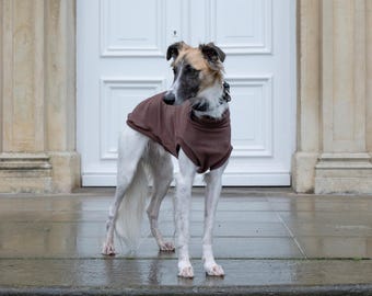 Felpa senza maniche in cotone per levrieri: abbigliamento per Whippet, Galgo e levrieri italiani