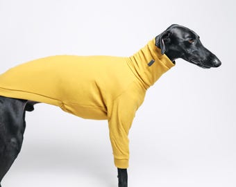 Felpa in cotone per levrieri con maniche anteriori: abbigliamento per Whippet, Galgo e levrieri italiani