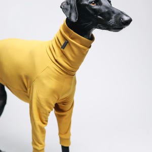 May include: A mustard yellow long-sleeved dog sweater featuring a high turtleneck collar with a small dark rectangular tag attached to the neck. The garment has ribbed cuffs at the sleeves and a fitted design that covers the torso and neck area.