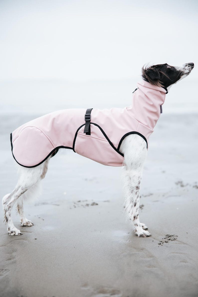 Cappotto softshell con APERTURA COLLO per levrieri - Antivento immagine 2