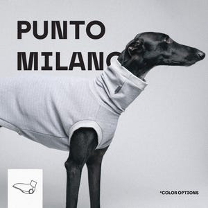 Könnte beinhalten: Ein grauer Hundepullover mit hohem Rollkragen, getragen von einem schwarzen Windhund. Der Text PUNTO MILANO ist oben links in Schwarz aufgedruckt. Ein kleines weißes Feld unten links zeigt eine Strichzeichnung des Pullovers, und der Text *COLOR OPTIONS steht unten rechts.