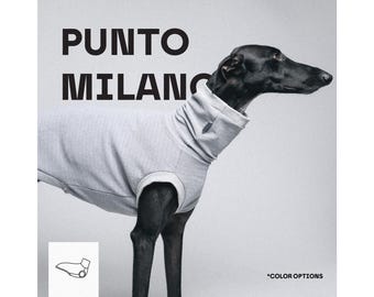 Cotton sweatshirt Punto Milano herringbone pattern: Greyhound Clothes