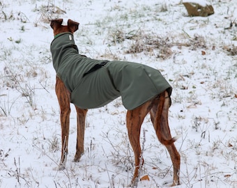 Fleece lined long collar softshell winter coat for greyhound, whippet, galgo, saluki, lurcher, italian greyhound