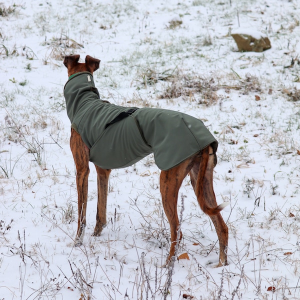 Manteau d'hiver en softshell avec col long et doublure polaire pour lévrier, whippet, galgo, saluki, lurcher, lévrier italien