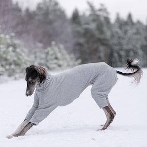 Pu&ograve; includere: Un maglione per cani grigio a maniche lunghe e collo alto, realizzato in un morbido tessuto m&eacute;lange. L'indumento copre il busto e le zampe anteriori di un cane snello dal pelo scuro e dalle orecchie lunghe, con polsini a coste sulle maniche.