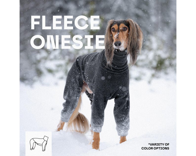 Pu&ograve; includere: Una tutina in pile grigio scuro per cane, dotata di un collo alto a lupetto e maniche lunghe che coprono le zampe. Il testo FLEECE ONESIE &egrave; visibile nell'angolo in alto a sinistra, e il testo VARIETY OF COLOR OPTIONS &egrave; in basso a destra.