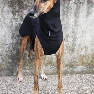 Pu&ograve; includere: Un cane dal mantello tigrato indossa un cappotto nero con cappuccio. Il cane &egrave; in piedi su una superficie strutturata, con un muro di cemento sullo sfondo. Il cappotto copre il corpo e la testa del cane, con una piccola etichetta bianca sul cappuccio.