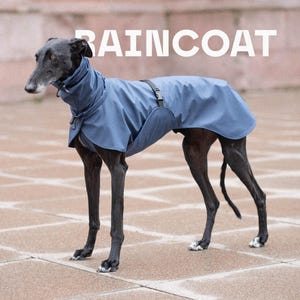 May include: A blue dog raincoat with a high neck collar and an adjustable black strap across the back. The garment features a smooth, water-resistant texture and covers the torso. The word RAINCOAT is printed in white letters above the dog.