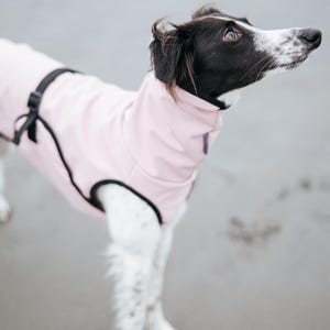 Cappotto softshell con APERTURA COLLO per levrieri - Antivento immagine 8