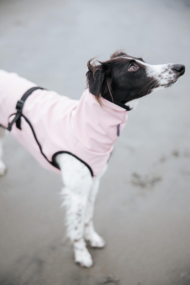 Cappotto softshell con APERTURA COLLO per levrieri - Antivento immagine 8