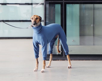 Onesie with rib cuffing for greyhound, whippet, galgo, saluki, lurcher, italian greyhound, dog (sweatshirt jumper clothes shirt pajamas)