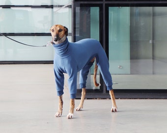 Onesie met ribmanchetten voor windhond, whippet, galgo, saluki, lurcher, Italiaanse windhond, hond (sweater trui kleding shirt pyjama)