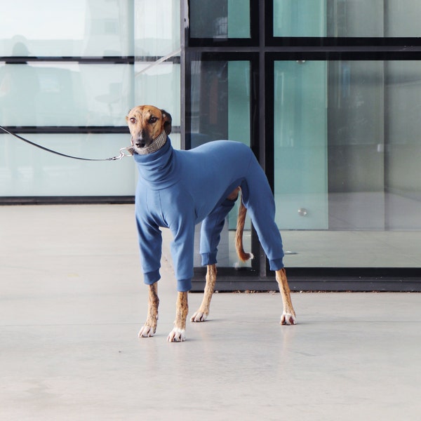 Combinaison avec revers côtelés pour lévrier, whippet, galgo, saluki, lurcher, lévrier italien, chien (sweat pull vêtements chemise pyjama)