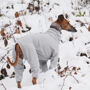 Pu&ograve; includere: Una tuta in pile grigio chiaro per cane con collo alto, che copre il busto e le zampe. Il cane indossa un collare a quadri marrone e bianco intorno al collo. Il capo &egrave; progettato per coprire tutto il corpo con maniche e gambe lunghe.