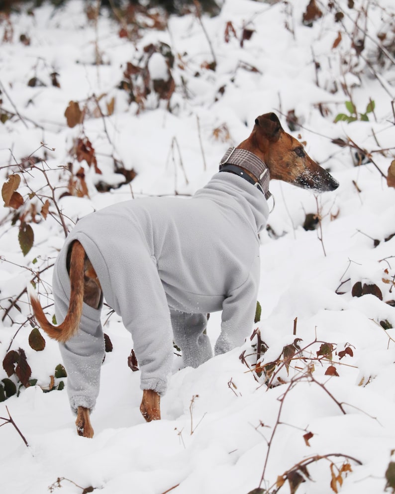 Pu&ograve; includere: Una tuta in pile grigio chiaro per cane con collo alto, che copre il busto e le zampe. Il cane indossa un collare a quadri marrone e bianco intorno al collo. Il capo &egrave; progettato per coprire tutto il corpo con maniche e gambe lunghe.