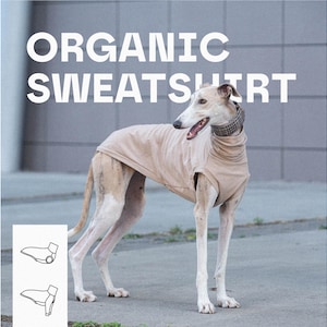 Könnte beinhalten: Ein hellbeiger Hundepullover mit hohem Kragen, getragen von einem Windhund. Der Text "ORGANIC SWEATSHIRT" steht in weißen Großbuchstaben oben. Ein kleines weißes Feld in der Ecke zeigt zwei schwarz-weiße Strichzeichnungen des Kleidungsstücks.