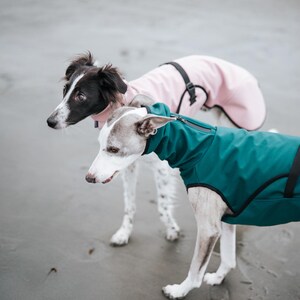 Cappotto softshell con APERTURA COLLO per levrieri - Antivento immagine 9