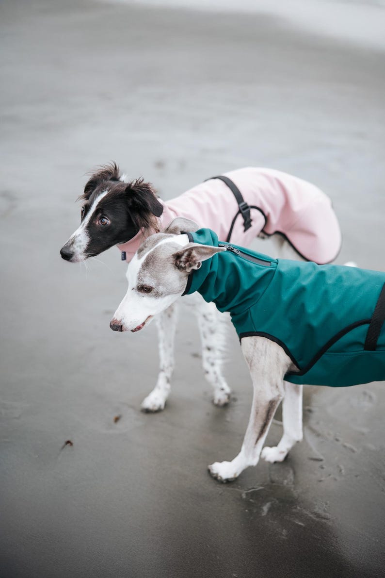 Cappotto softshell con APERTURA COLLO per levrieri - Antivento immagine 9