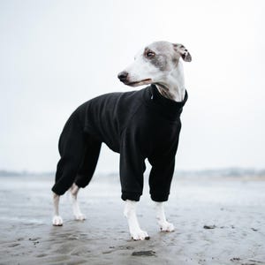 Pu&ograve; includere: Un levriero italiano grigio e bianco indossa una tutina in pile nera a tinta unita, a maniche lunghe e con collo alto, che copre il busto e le zampe, dotata di polsini a coste alle caviglie e un design del colletto aderente e funzionale.