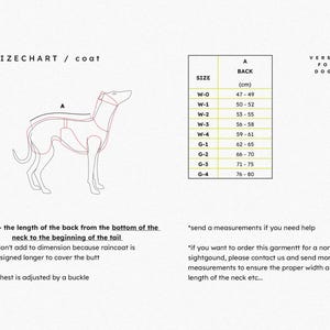 Pu&ograve; includere: Una tabella delle taglie per cappotti per cani, con un diagramma di un cane e punti di misurazione. Le taglie vanno da W-0 a G-4, con lunghezze della schiena in centimetri. Vengono fornite istruzioni su come misurare il cane.