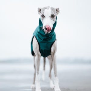 Cappotto softshell con APERTURA COLLO per levrieri - Antivento immagine 11