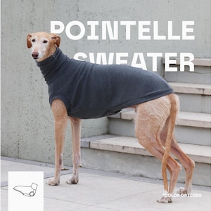 Pode incluir: Um suéter pointelle cinza-escuro usado por um cão, com gola alta e design sem mangas. O texto POINTELLE SWEATER é exibido em letras brancas, com um pequeno desenho linear da peça de vestuário e o texto COLOR OPTIONS.