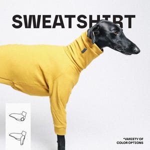 May include: A mustard yellow dog sweatshirt with a high turtleneck collar worn by a black dog. The image features the text SWEATSHIRT at the top, a small diagram showing the garment shape in the bottom left, and the text VARIETY OF COLOR OPTIONS.