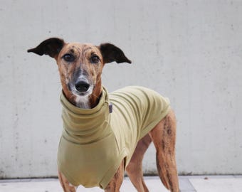 Feines Sweatshirt für Windhunde: Ärmellose Hundekleidung aus Baumwolle