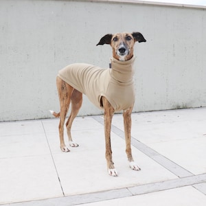 Sweatshirt van biologisch katoen voor windhonden: mouwloze hondenkleding