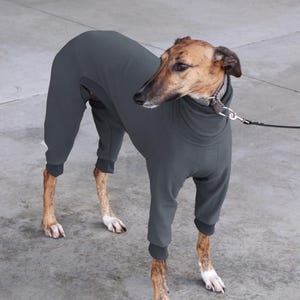 Cotton Greyhound Onesie: Whippet, Galgo, Italian Greyhound Pajamas