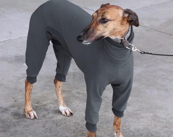 Tutina in cotone per levriero: pigiama per Whippet, Galgo e levriero italiano