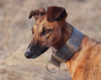 Martingale collar 5 cm / 2 inch wide for greyhound, galgo, saluki, lurcher, sighthound - sustainable fashionable cotton linen