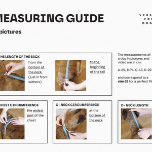 Pu&ograve; includere: Una guida alle misurazioni per cani intitolata MEASURING GUIDE VERSIA FOR DOGS con quattro pannelli illustrativi che mostrano come misurare lunghezza schiena, circonferenza torace, circonferenza collo e lunghezza collo con metro blu in cm.