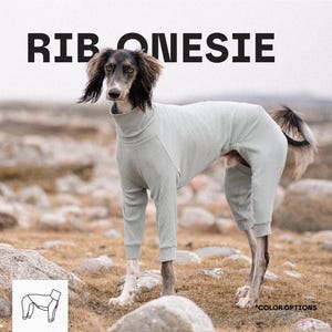 Puede incluir: Un mono de canalé en color verde salvia claro para perro, con cuello alto y mangas largas que cubren las patas delanteras y traseras. El texto RIB ONESIE aparece impreso en negro en la parte superior, junto a un dibujo lineal del diseño.