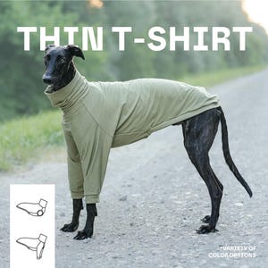 Può includere: Una maglietta a maniche lunghe per cani color verde salvia con collo alto, indossata da un levriero nero. L'immagine presenta il testo THIN T-SHIRT in alto, un piccolo diagramma che mostra la forma del capo nell'angolo e il testo VARIETY OF COLOR OPTIONS.