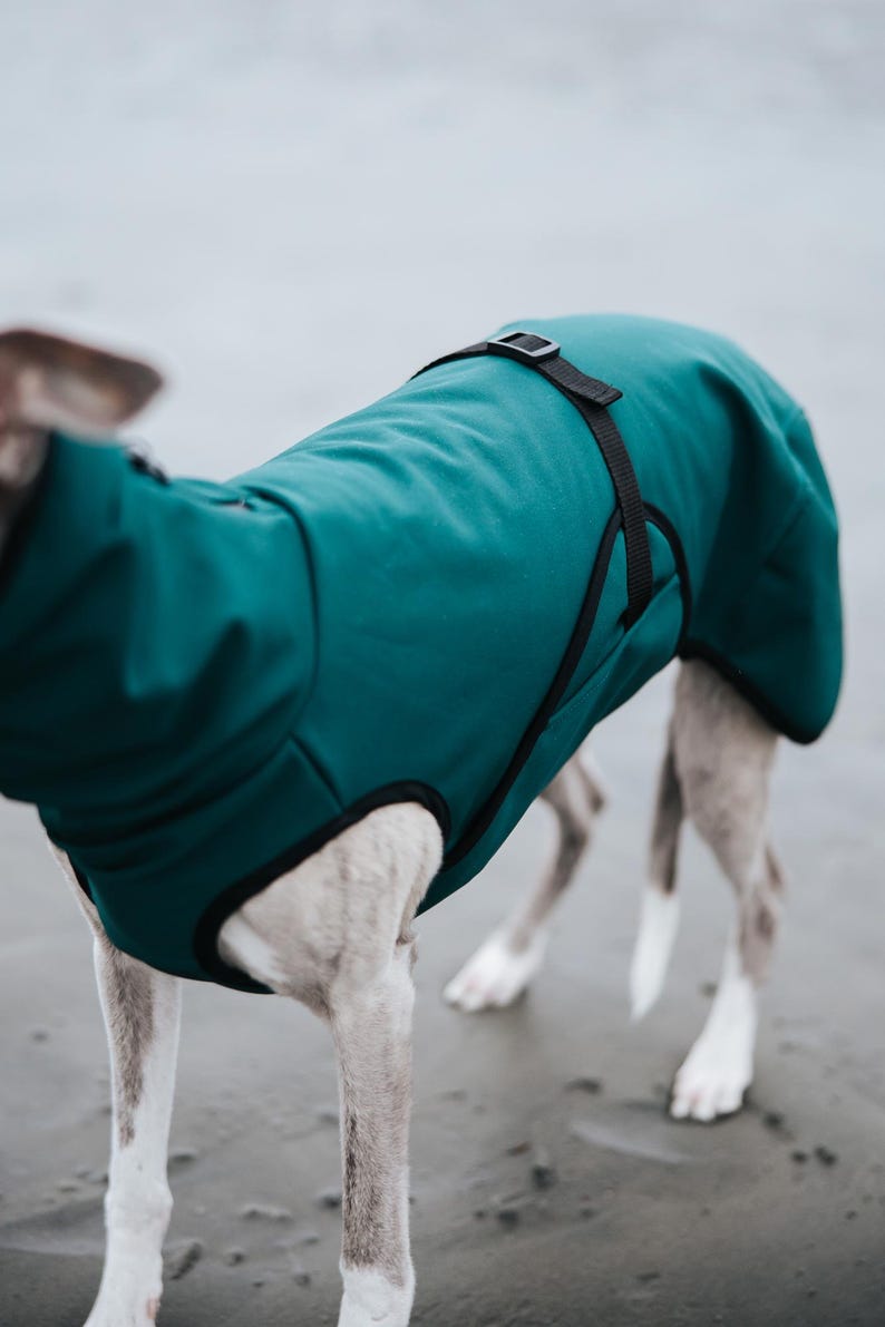 Cappotto softshell con APERTURA COLLO per levrieri - Antivento immagine 5