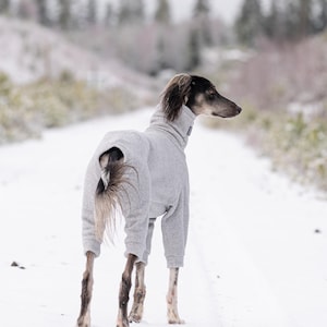 Combinaison d'hiver en polaire Greyhound avec 4 manches (vêtements pour whippet, galgo, lévrier italien, lévrier)