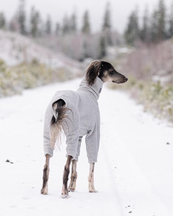 Greyhound Winter Fleece Overall with 4 sleeves (Whippet, Galgo, Italian Greyhound, Sighthounds Clothes)