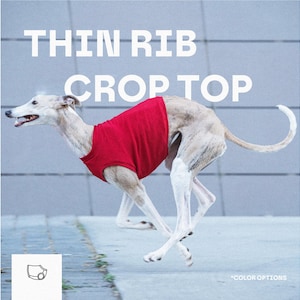 Könnte beinhalten: Ein leuchtend rotes ärmelloses bauchfreies Oberteil mit fein gerippter Textur, getragen von einem laufenden Windhund. Das Bild zeigt den weißen Text THIN RIB CROP TOP oben und ein kleines Symbol des Kleidungsstücks mit dem Text *COLOR OPTIONS unten.