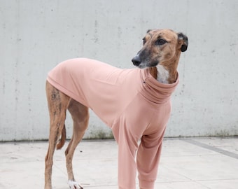 Maglietta in cotone sottile con maniche anteriori per levrieri: abbigliamento per Whippet, Galgo e levrieri italiani
