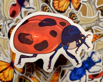 Ladybird Vinyl Sticker | Bug Series | Insect Sticker