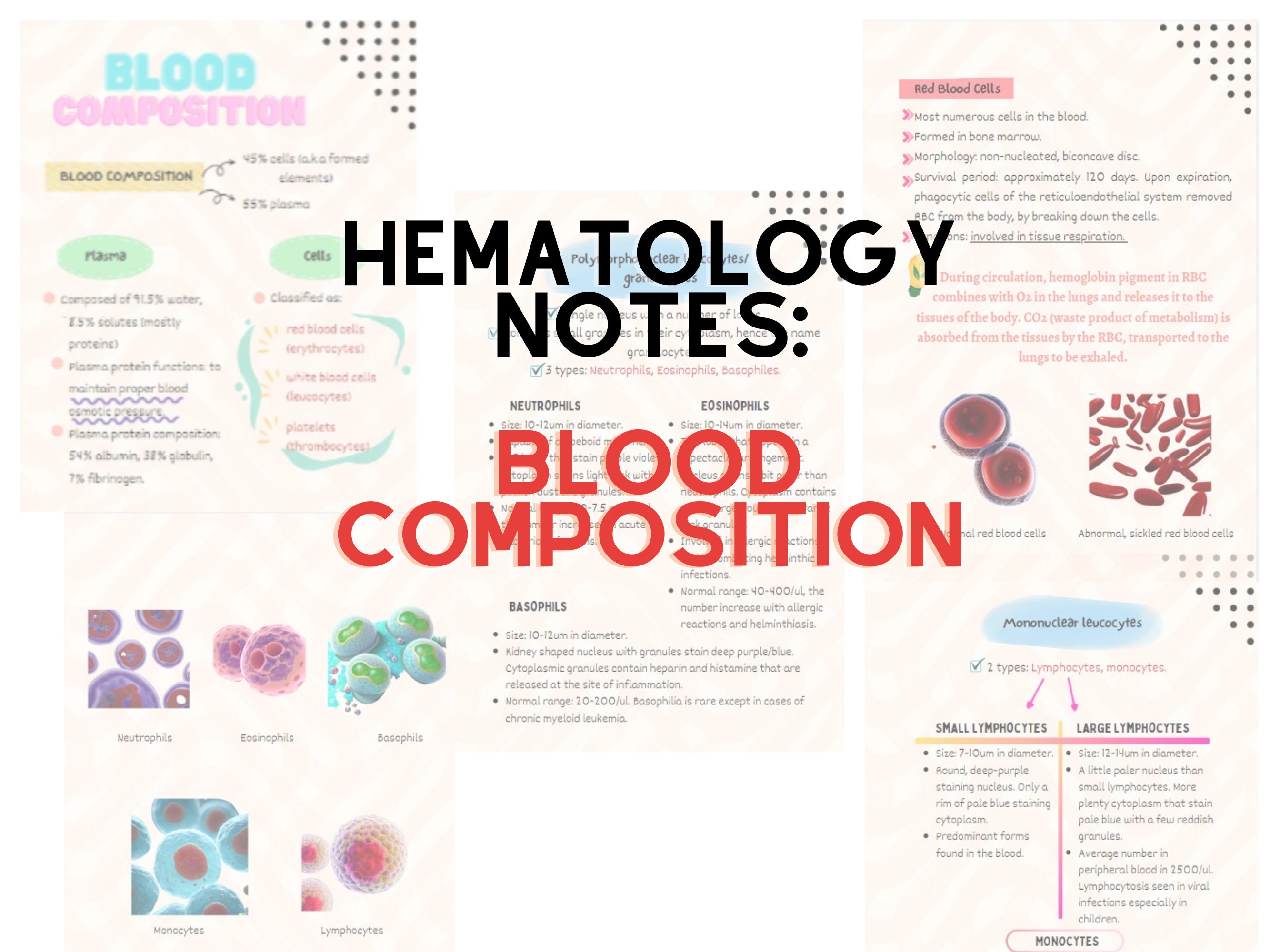 Brief Hematology Notes Etsy