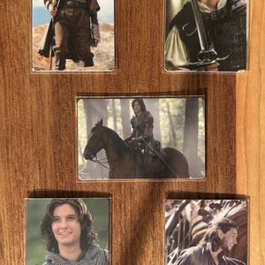 Puede incluir: Conjunto de cinco tarjetas rectangulares en fundas transparentes, con im&aacute;genes de un hombre con diferentes trajes. Las im&aacute;genes muestran al hombre en escenarios medievales o fant&aacute;sticos, con espadas y montando a caballo.